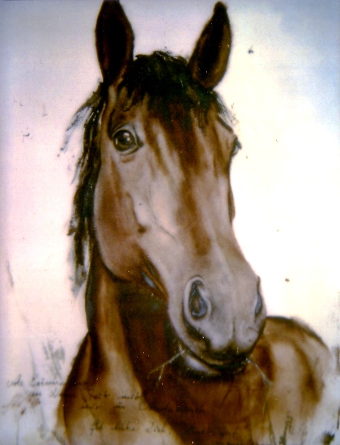 Bayerisches Warmblut, Pferdemalerei in Aquarelltechnik