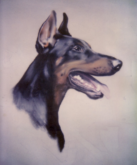Dobermann, Tier-Portrait, Malerei in Pastell