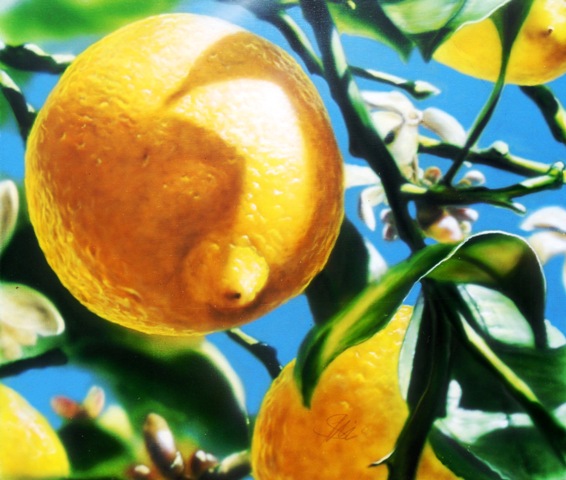 Zitronenbaum, Bild in Ölfarben auf Leinwand