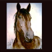 Aquarell Bayerisches Warmblut